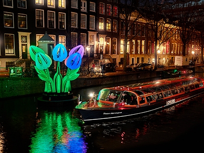 Amsterdam Light Festival preview image tulips