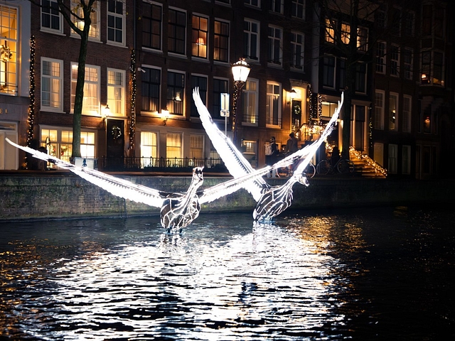 Amsterdam light festival swans on canal